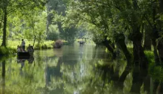 Profiter d’un tour en barque dans le Marais Poitevin